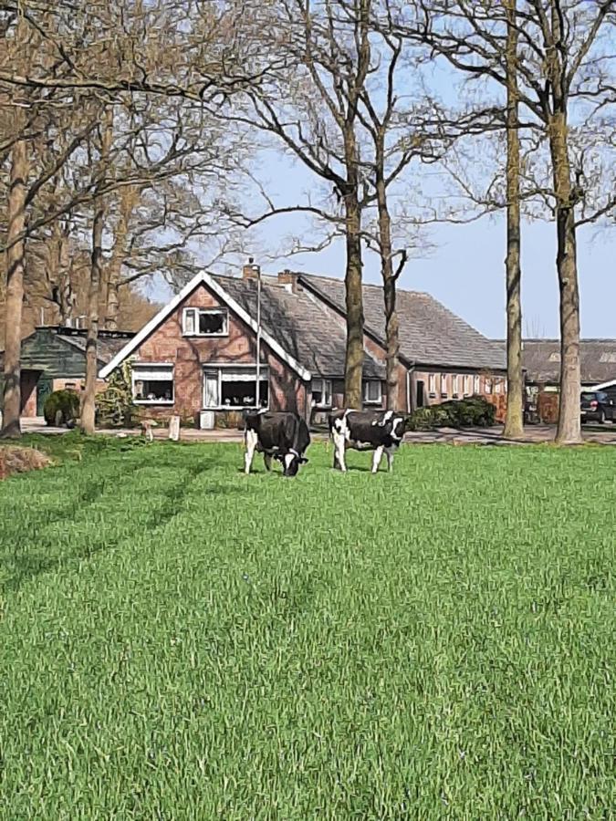 Hoeve de Laan Woudenberg Buitenkant foto